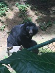 Hi there!