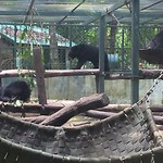 The bear sanctuary