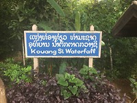 The waterfall
