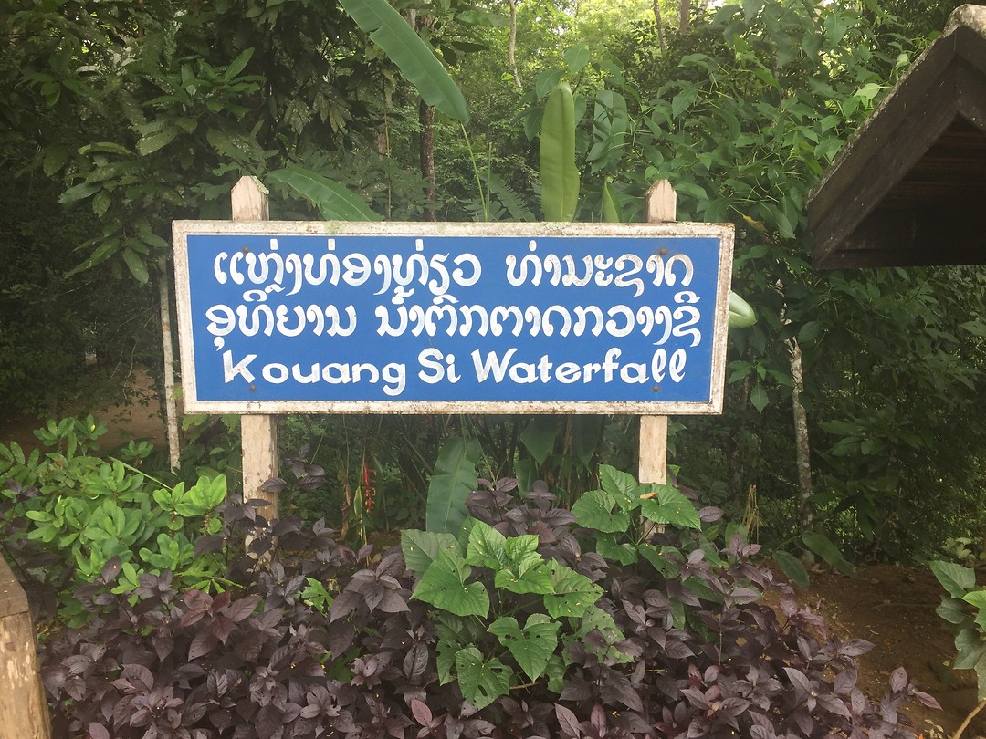 The waterfall