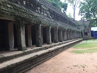 Tomb raider's wall