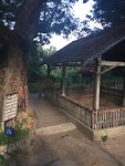 Such a sad day, visiting the killing fields and S21 prison