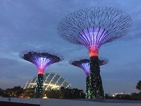 Bay gardens in Singapore