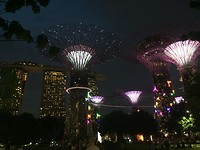 Light show