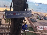 Coco love