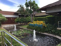Welcome to Koh Samui