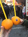 Most expensive(rip off) near Fushijima Shrine