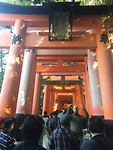 Fushiminari Shrine