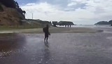 De oversteek!