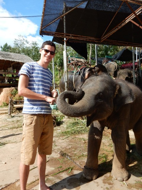 Wat schattig