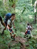 Dwars door de Jungle!