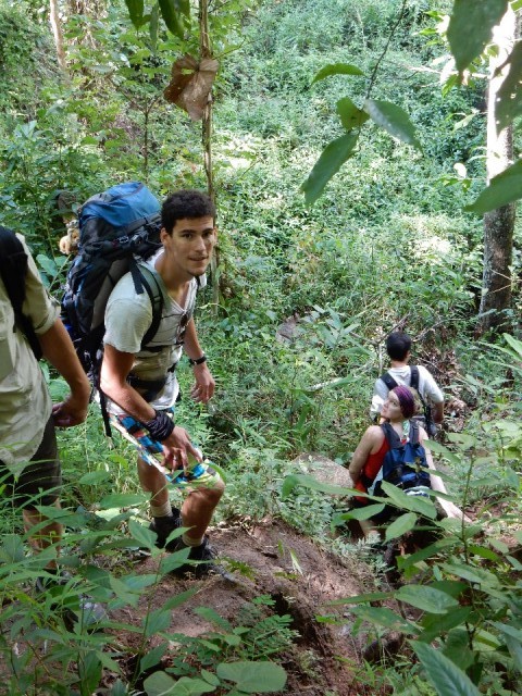 Dwars door de Jungle!