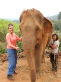 Kennismaking met Maedoloe, de olifant waar Ashley komende dag op gaat rijden
