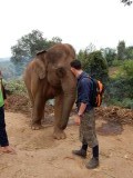 Kennismaking met Medu, de olifant waar Bas komende dagen op gaat rijden