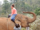 Stap 2: klim op de olifant