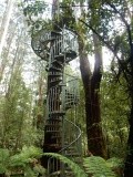 Zo 20 meter van de grond met als langste zipline 120m!