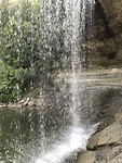 IMG_4444