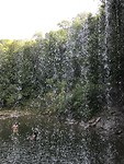 IMG_4449