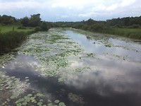 IMG_5559