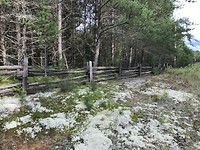 IMG_4670