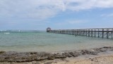 Auto huren: Coral Coast