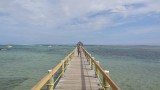 Auto huren: Coral Coast