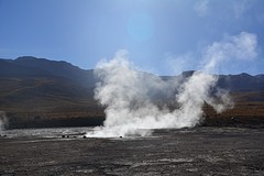 DSC_1502