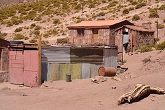 DSC_1551
