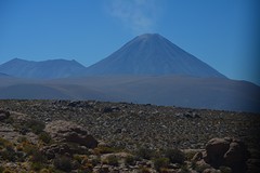 DSC_1568