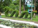 DSCN0079