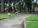 DSCN0082