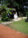 wedding garden2