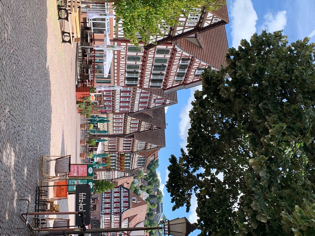 IMG_0740
