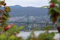 Lions Gate Bridge