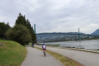Seawall