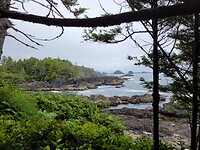 Wild Pacific Trail
