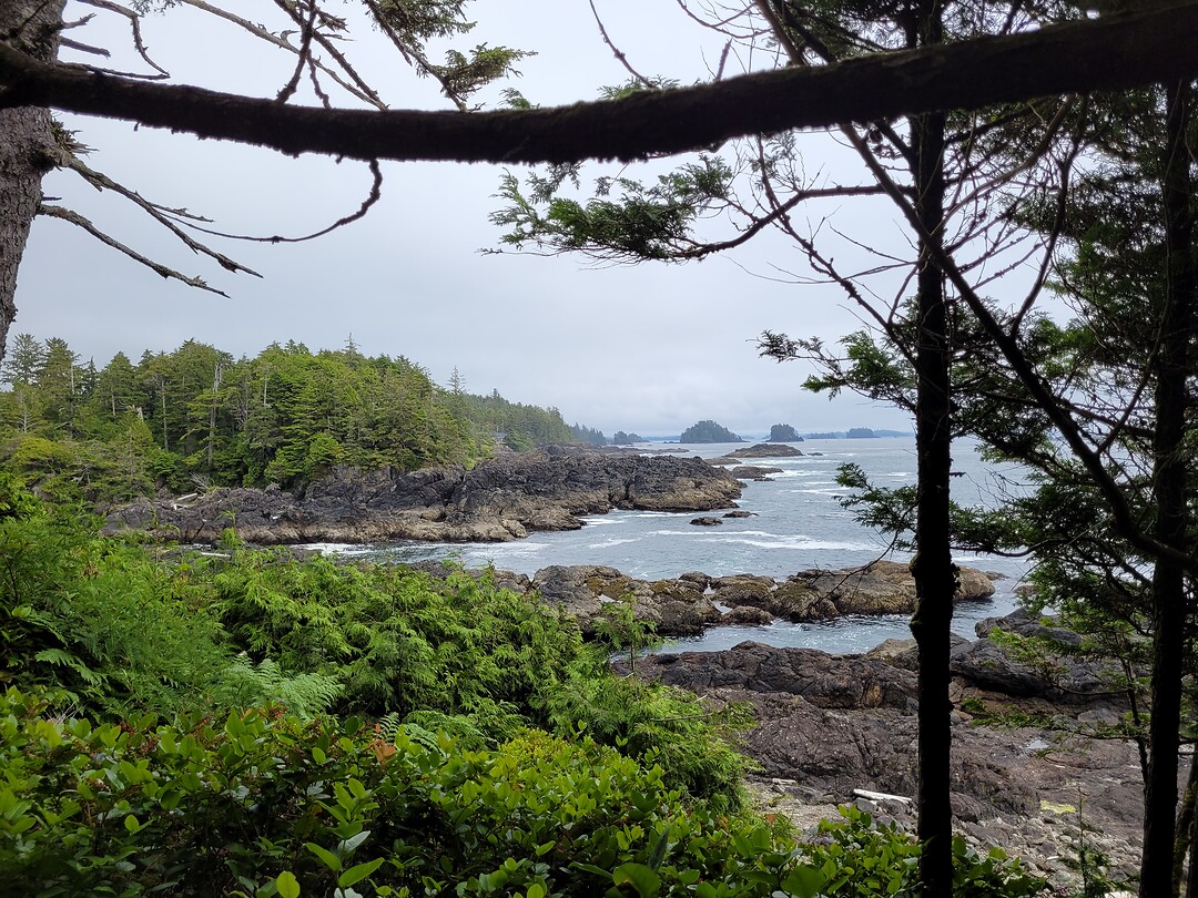 Wild Pacific Trail