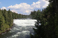 Dawson Falls