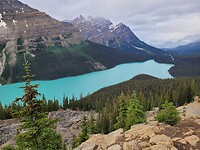 Peyto Lake