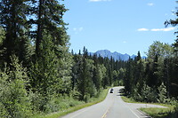 Bow Valley Parkway