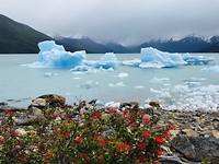 Perito Moreno gletsjer