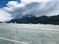 onderweg met de catamaran richting de Grey gletsjer