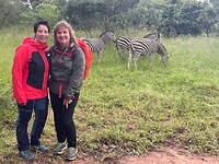 D&B bij zebra's