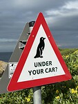 Waarschuwingsbord bij Boulders Beach