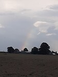 IMG-20220903-WA0012