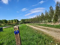 Wandelweg
