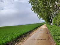 Heuvel op.