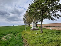 Landschap