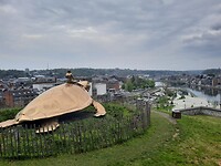 Het schildpad bij de Citadel