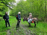 Gezin met de ezel en 1 kind  ander kind wilde niet op de foto.